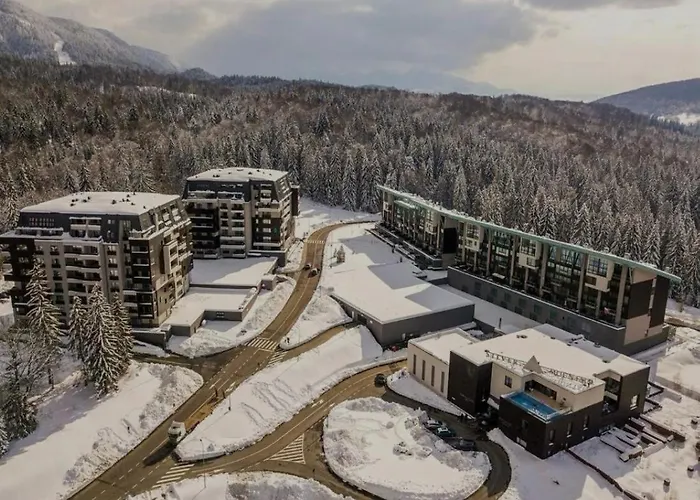 Apartamentul Verde Silver Mountain Poiana Brasov