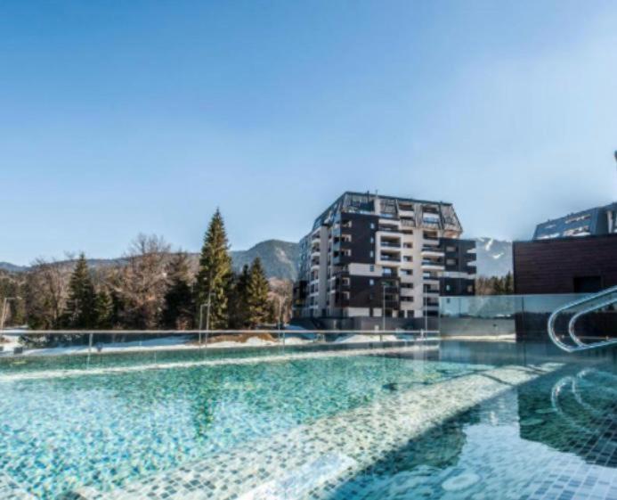 Apartamentul Silver Mountain *