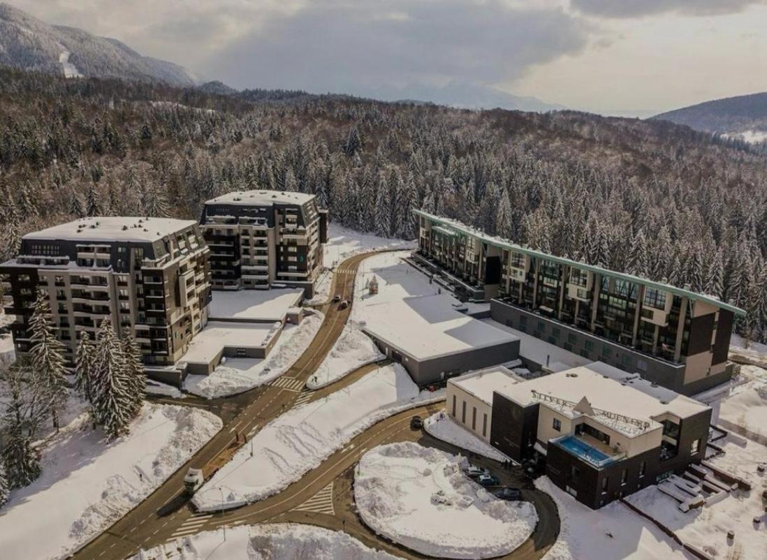 Apartamentul Silver Mountain